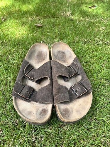 Betula birkenstock arizona - betula,